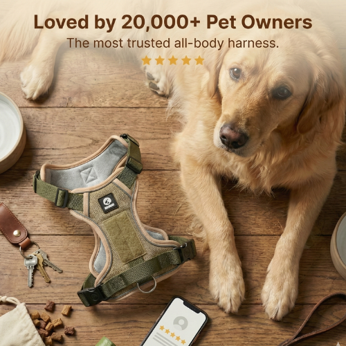 Magic Move Harness™