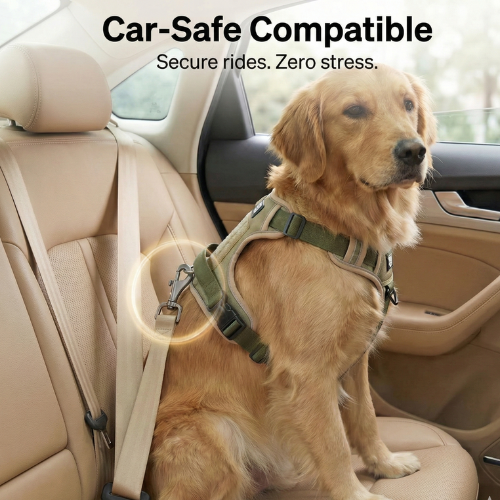 Magic Move Harness™