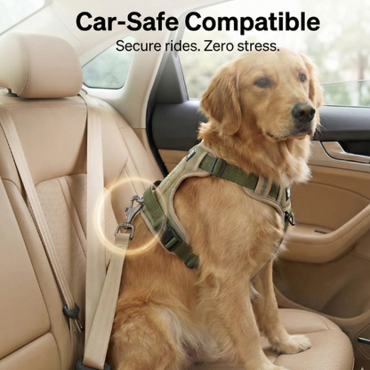 Magic Move Harness™