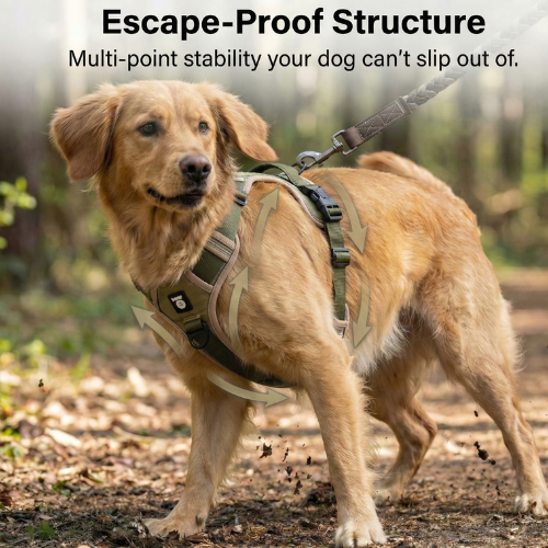 Magic Move Harness™