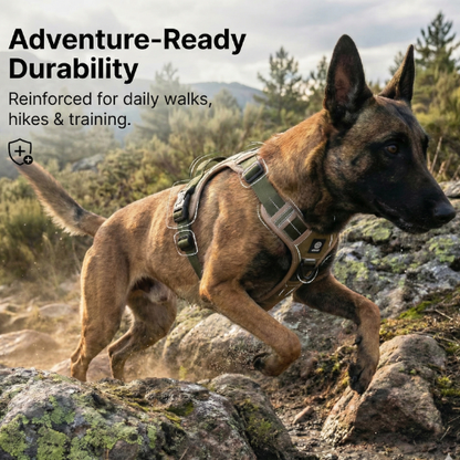 Magic Move Harness™